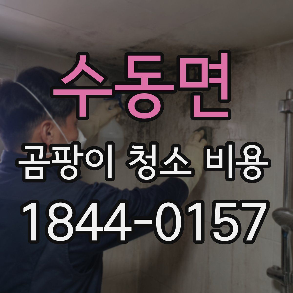 수동면 곰팡이 청소 비용