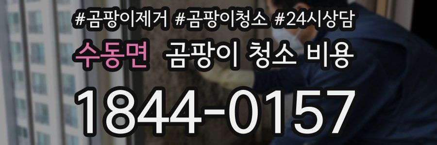 수동면 곰팡이 청소 비용