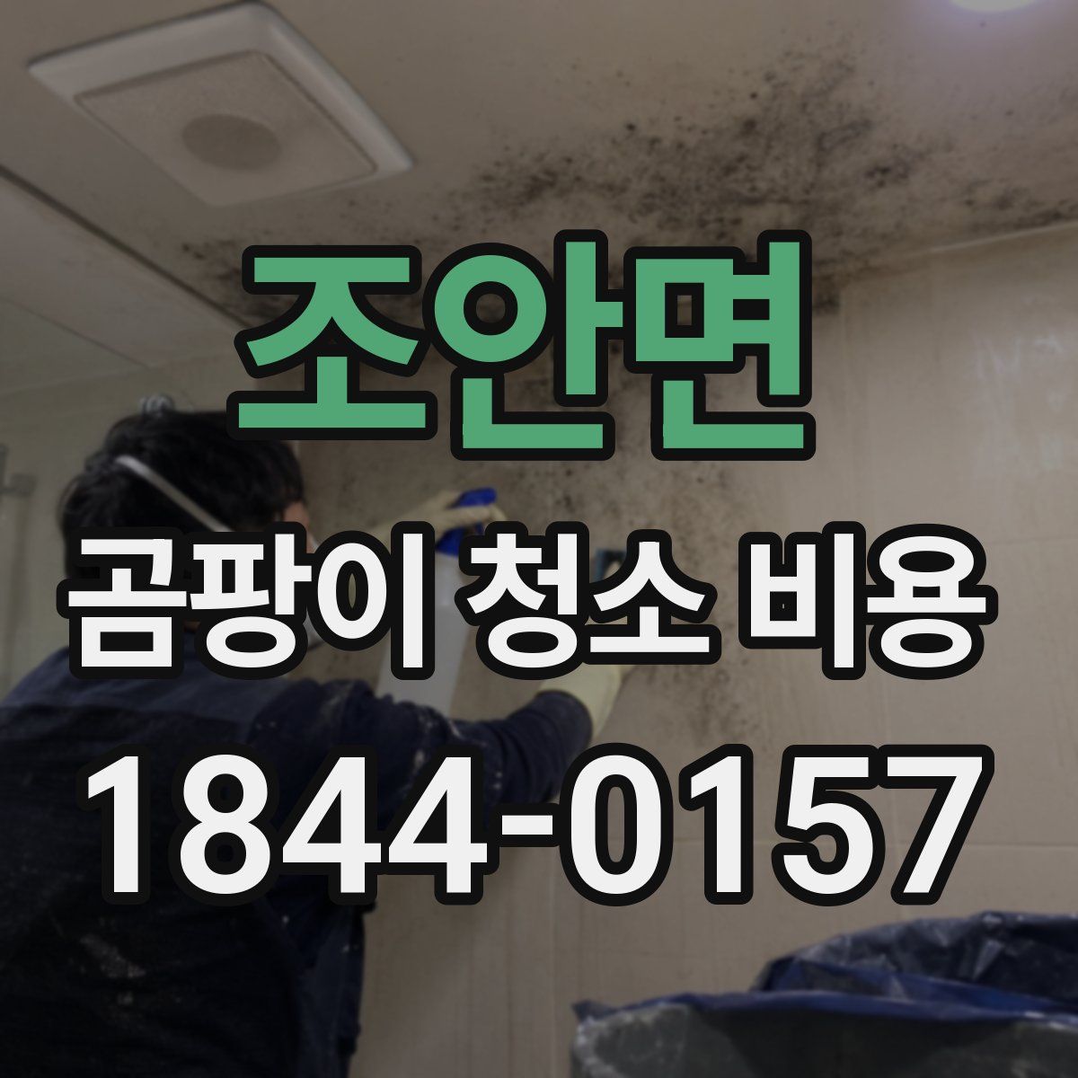 조안면 곰팡이 청소 비용