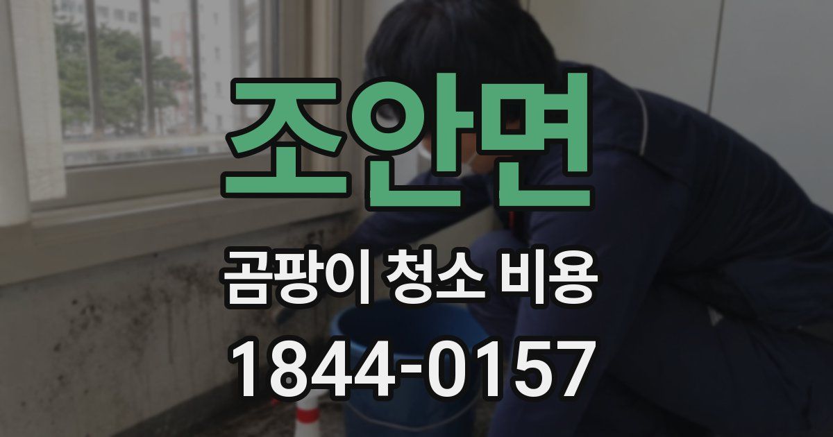 조안면 곰팡이 청소 비용