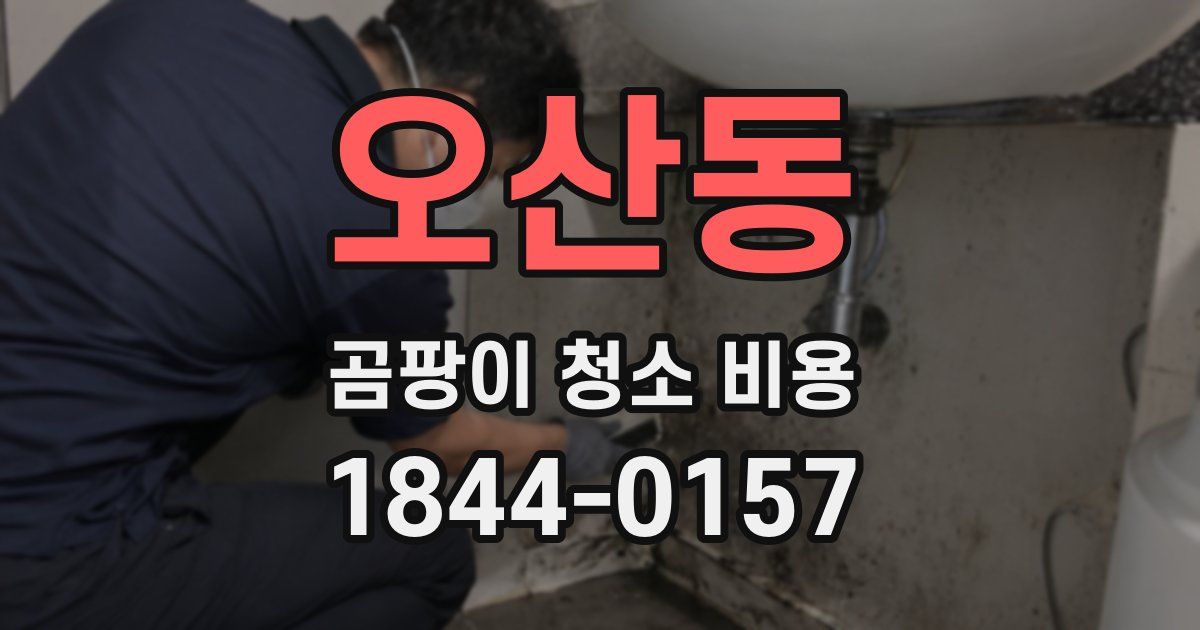 오산동 곰팡이 청소 비용