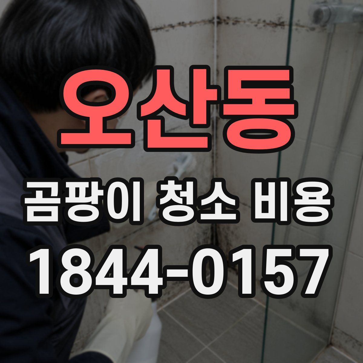 오산동 곰팡이 청소 비용