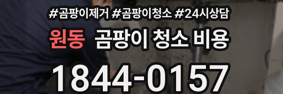 원동 곰팡이 청소 비용