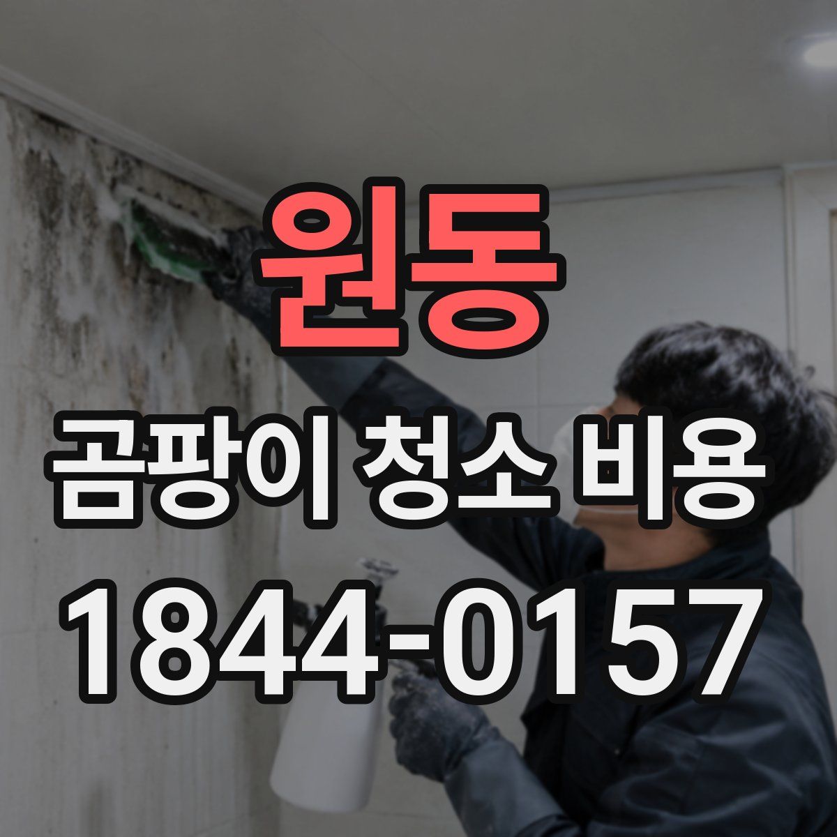 원동 곰팡이 청소 비용