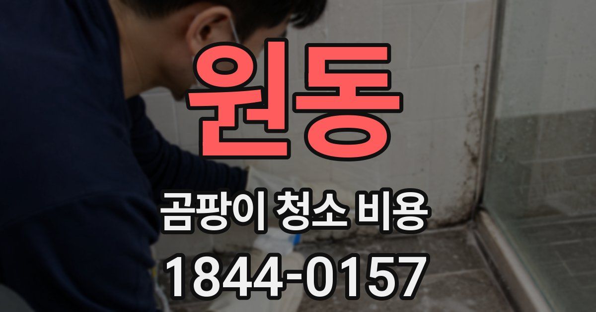 원동 곰팡이 청소 비용