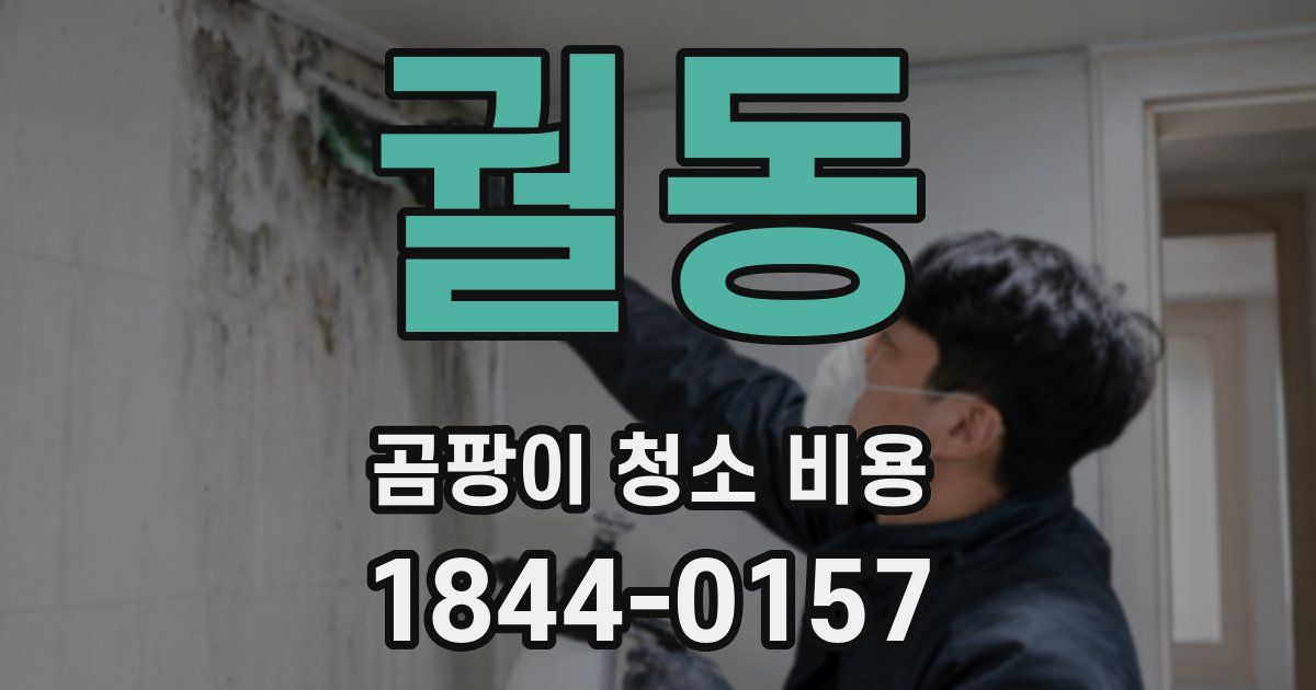 궐동 곰팡이 청소 비용