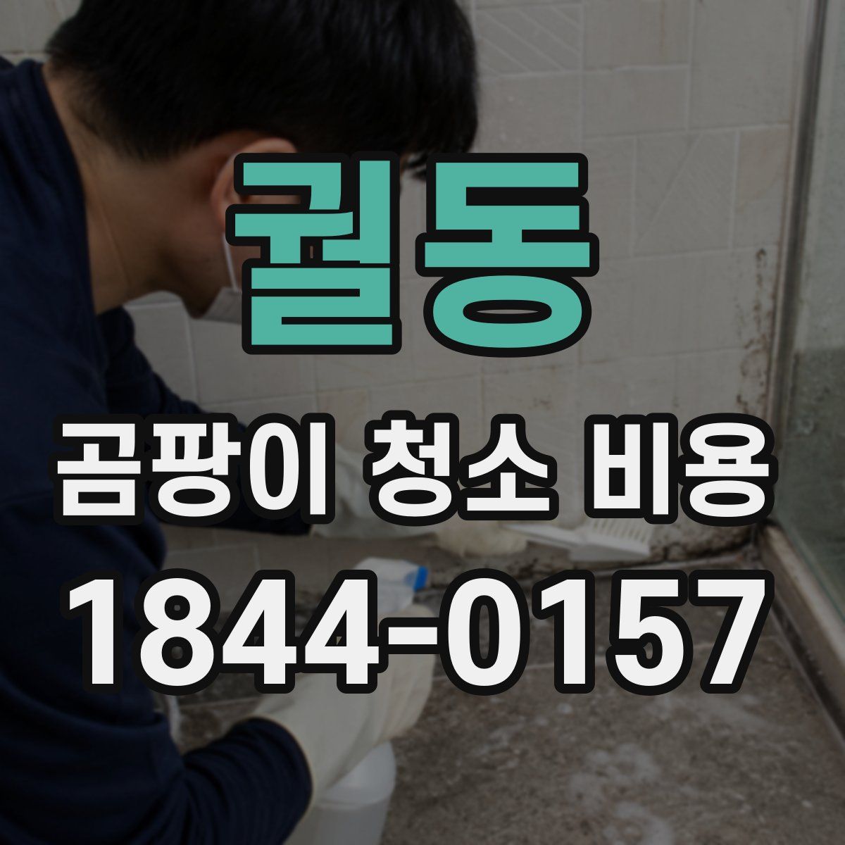궐동 곰팡이 청소 비용
