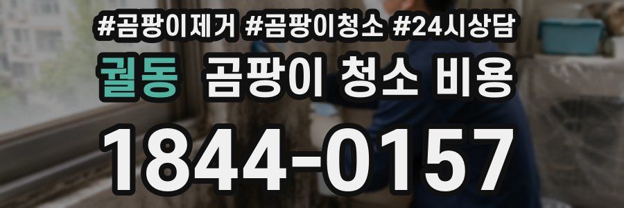 궐동 곰팡이 청소 비용