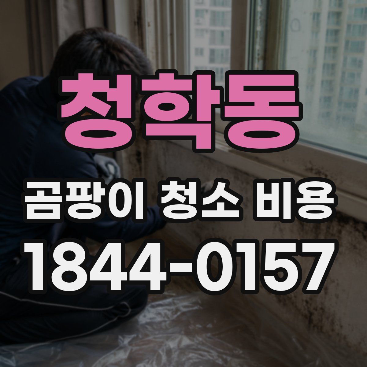 청학동 곰팡이 청소 비용
