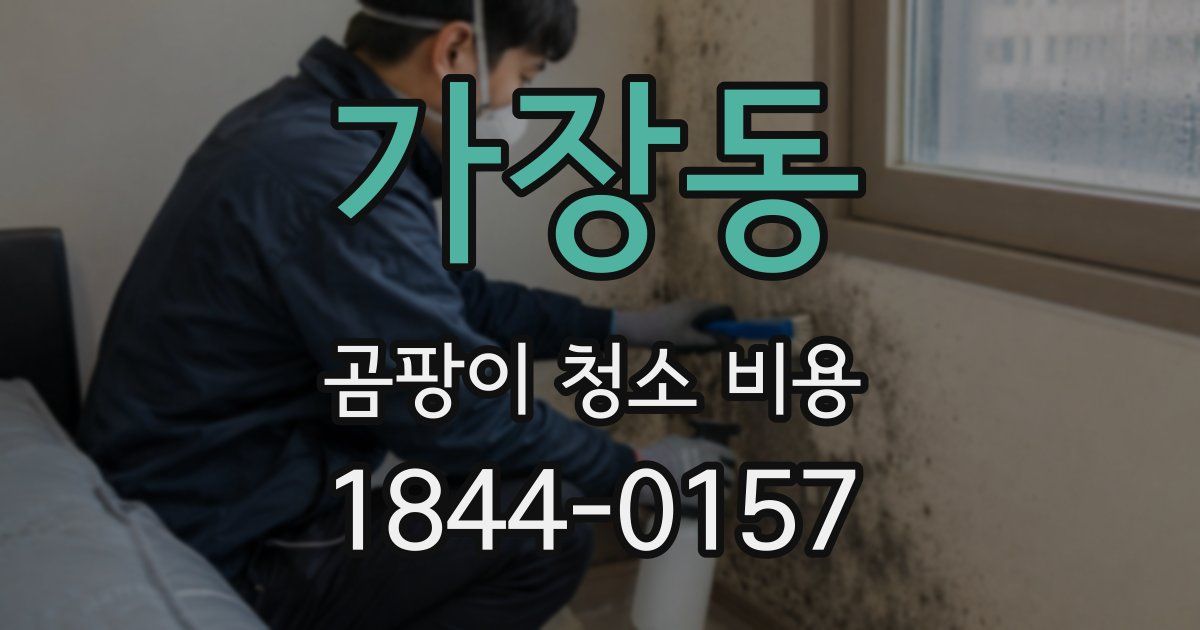 가장동 곰팡이 청소 비용