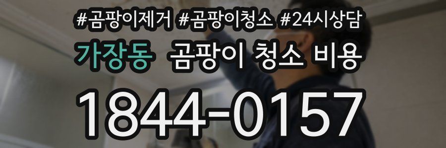 가장동 곰팡이 청소 비용