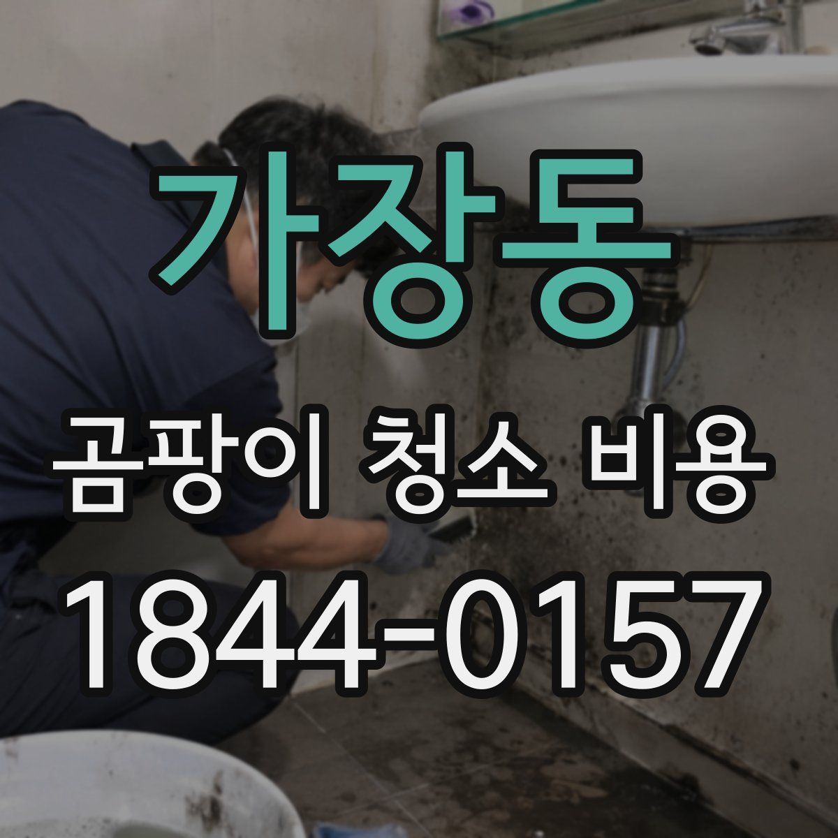 가장동 곰팡이 청소 비용