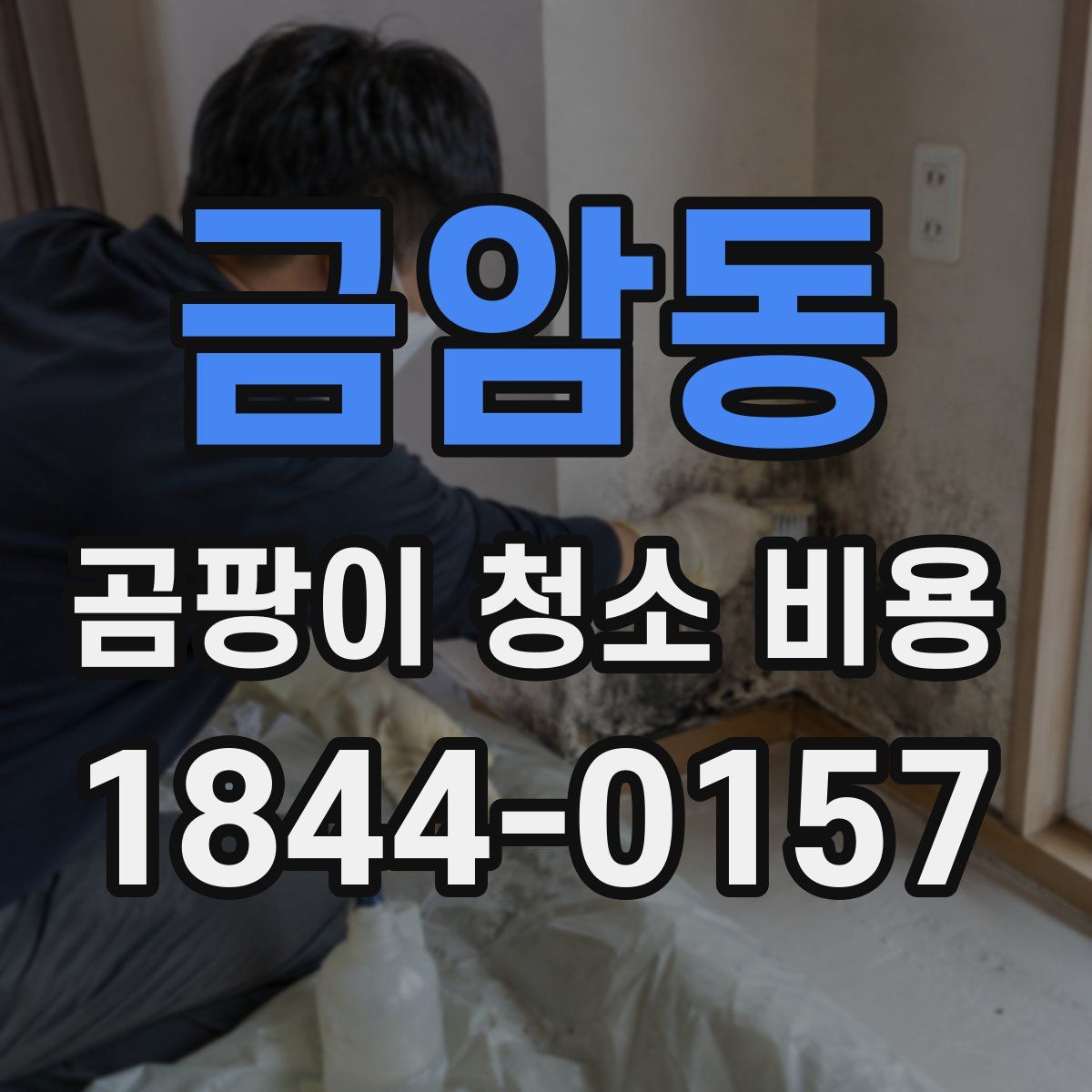 금암동 곰팡이 청소 비용