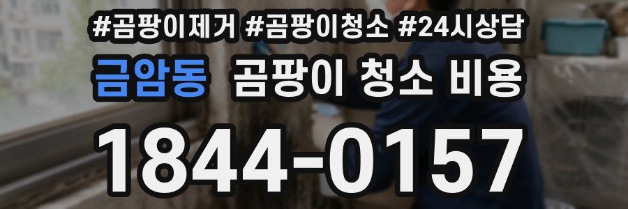 금암동 곰팡이 청소 비용