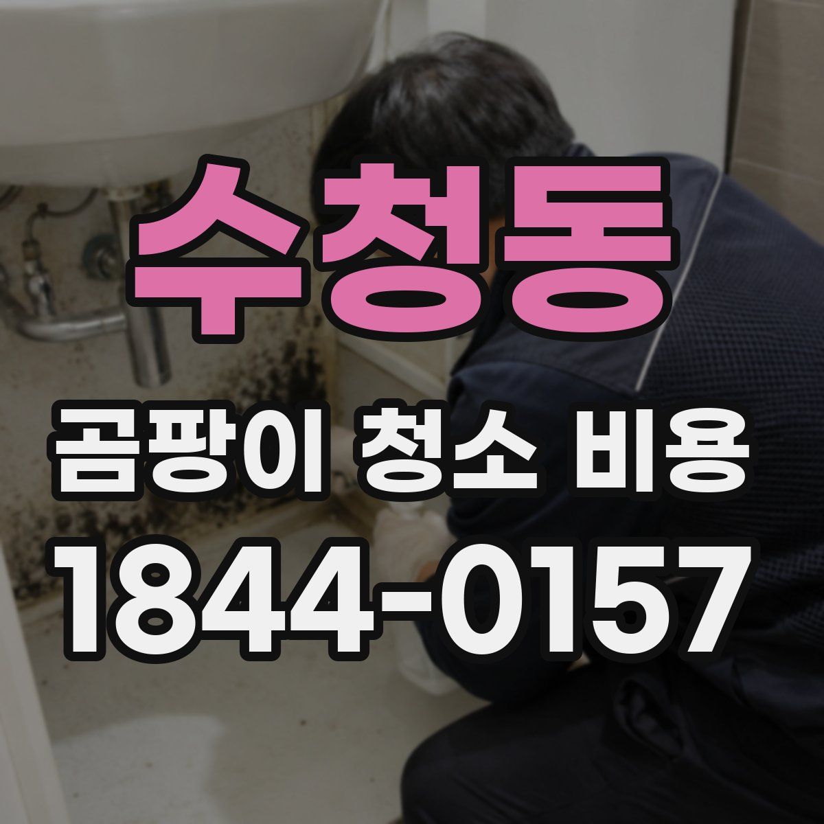 수청동 곰팡이 청소 비용