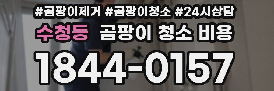 수청동 곰팡이 청소 비용