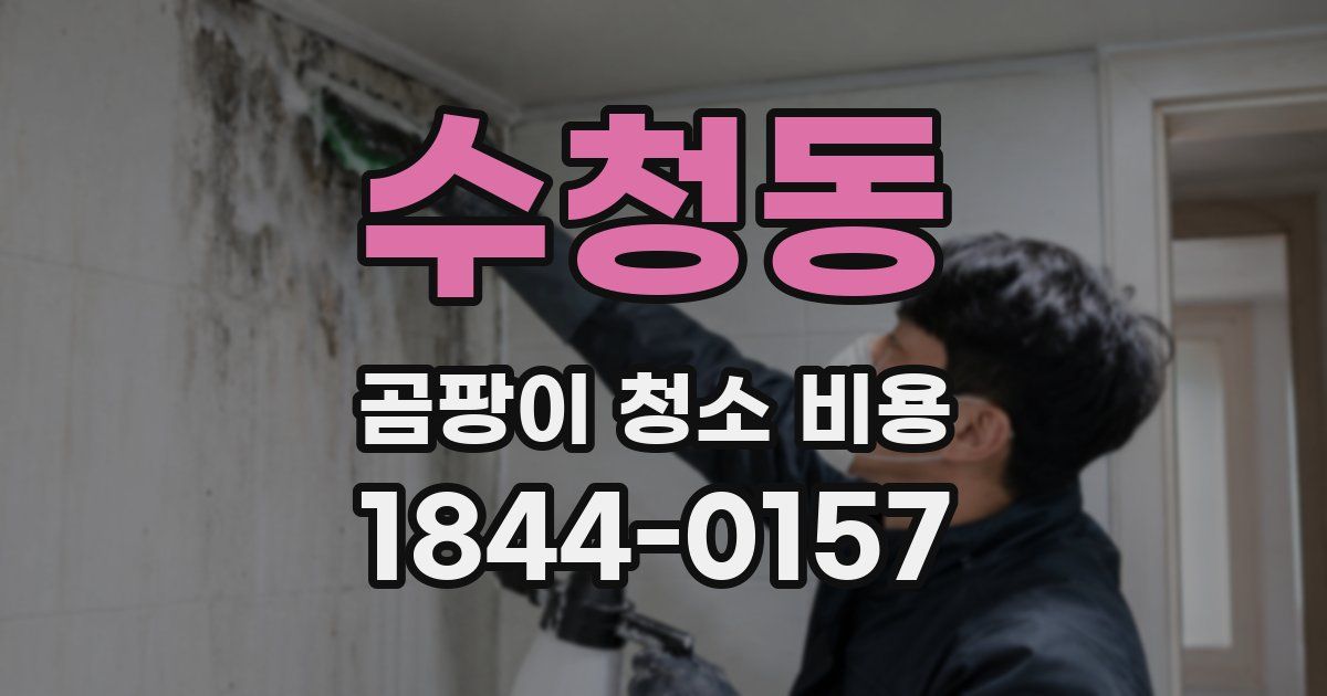 수청동 곰팡이 청소 비용