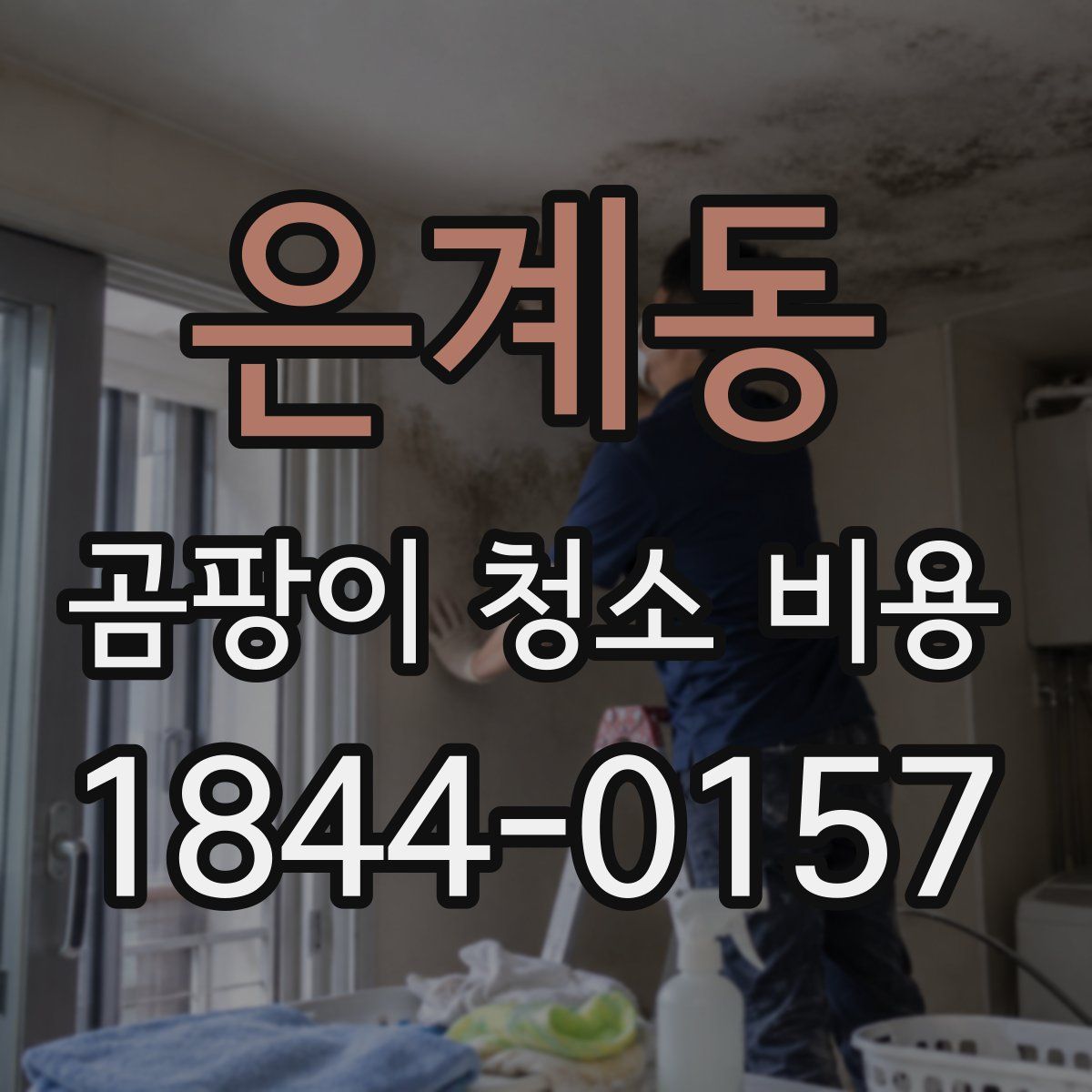 은계동 곰팡이 청소 비용
