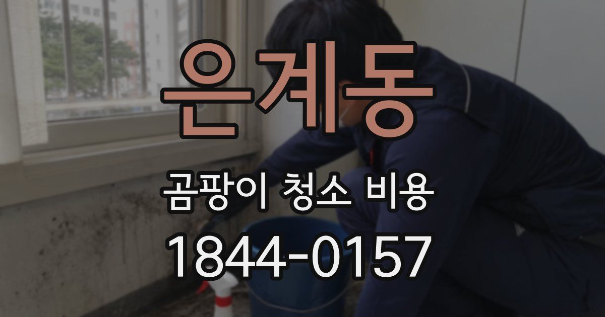 은계동 곰팡이 청소 비용
