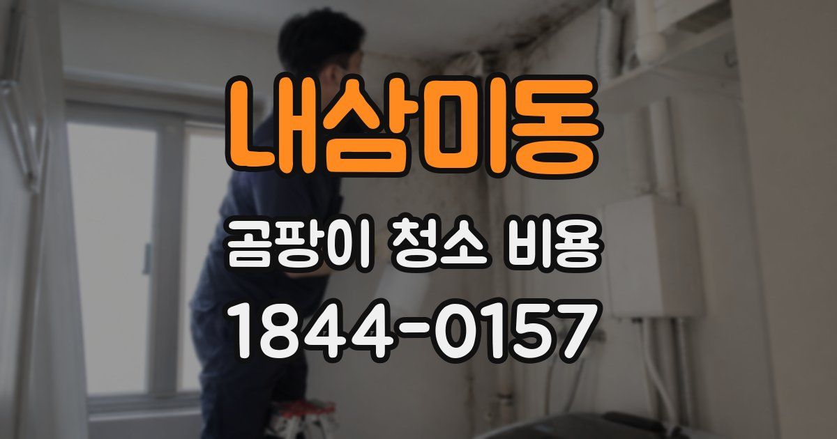 내삼미동 곰팡이 청소 비용