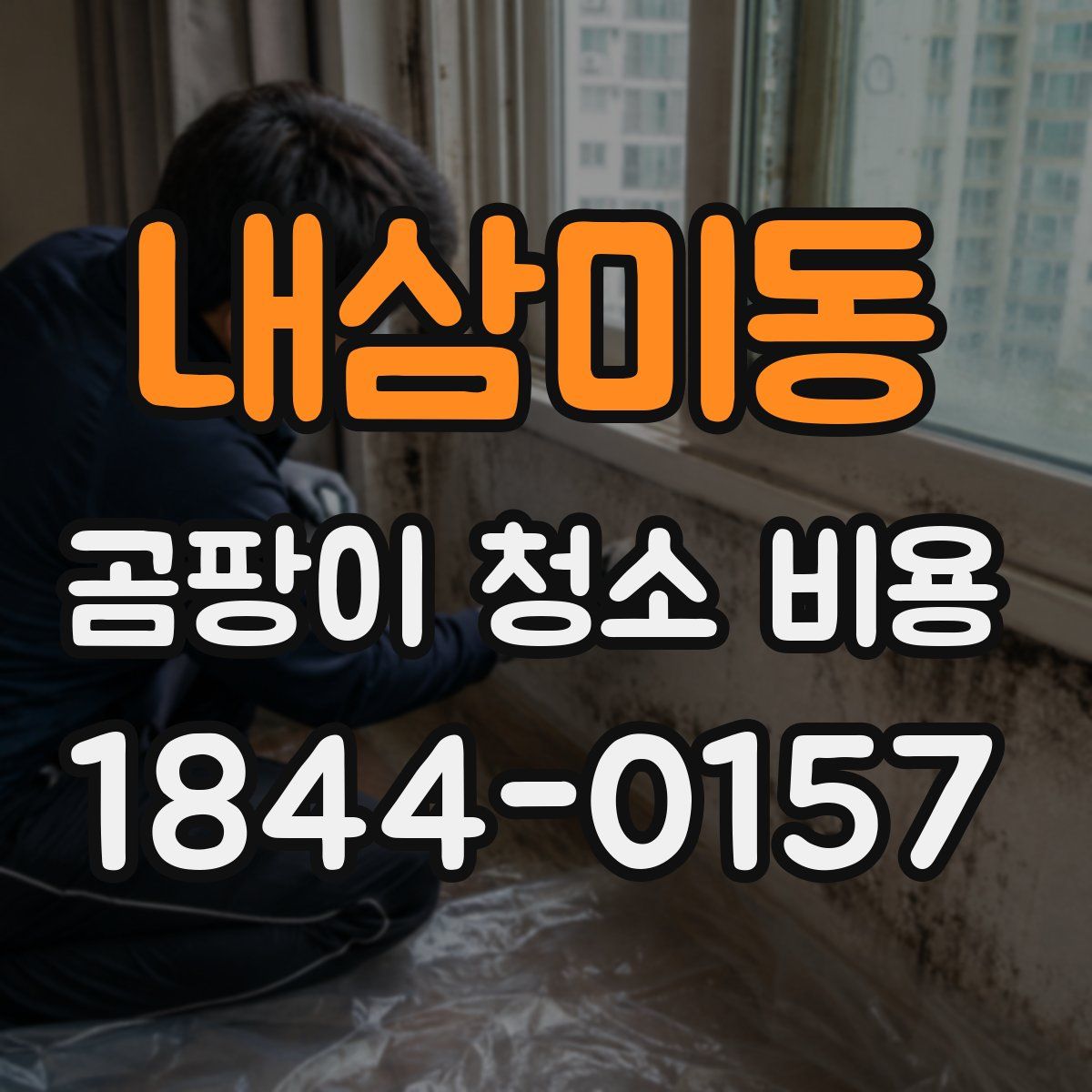 내삼미동 곰팡이 청소 비용