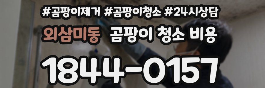 외삼미동 곰팡이 청소 비용
