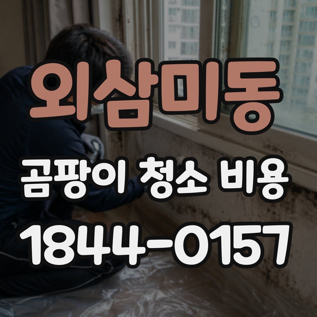 외삼미동 곰팡이 청소 비용
