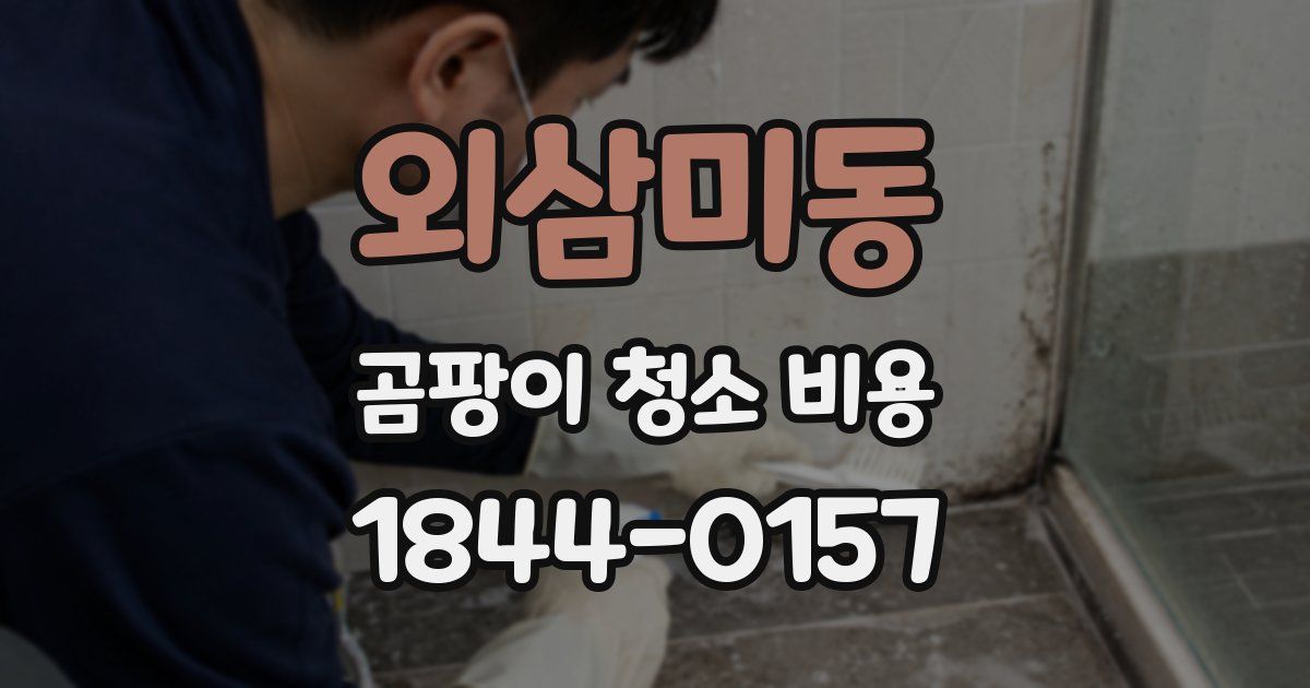 외삼미동 곰팡이 청소 비용