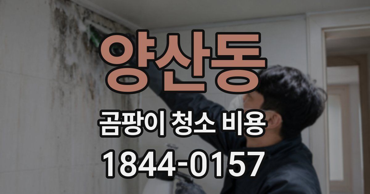 양산동 곰팡이 청소 비용