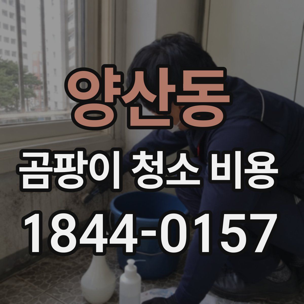 양산동 곰팡이 청소 비용