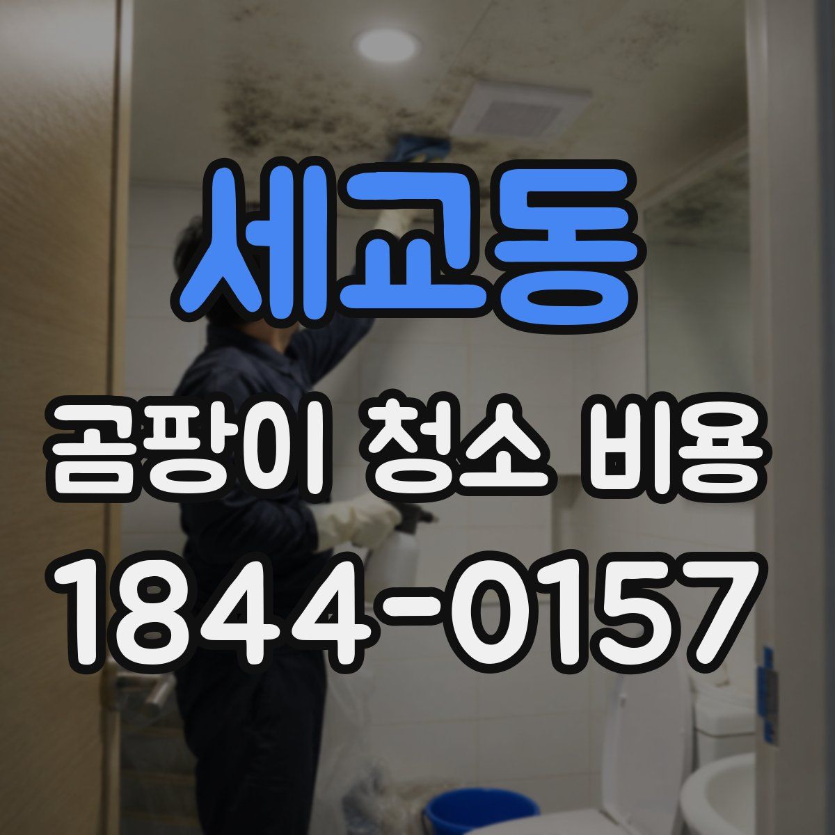 세교동 곰팡이 청소 비용