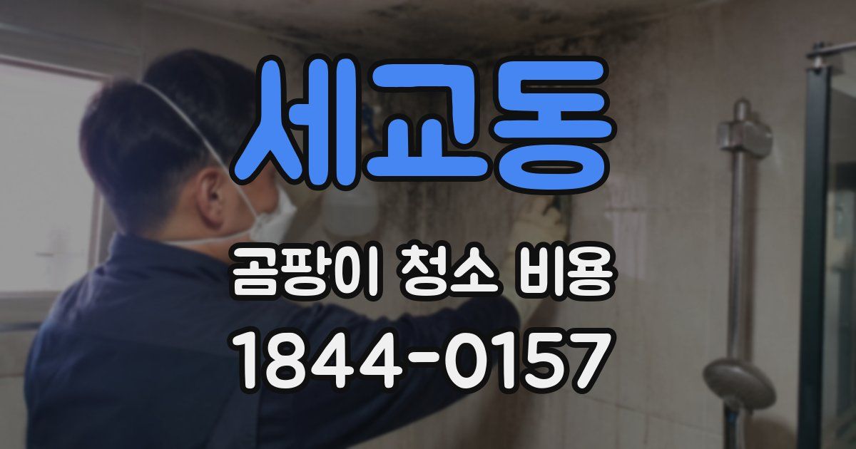 세교동 곰팡이 청소 비용