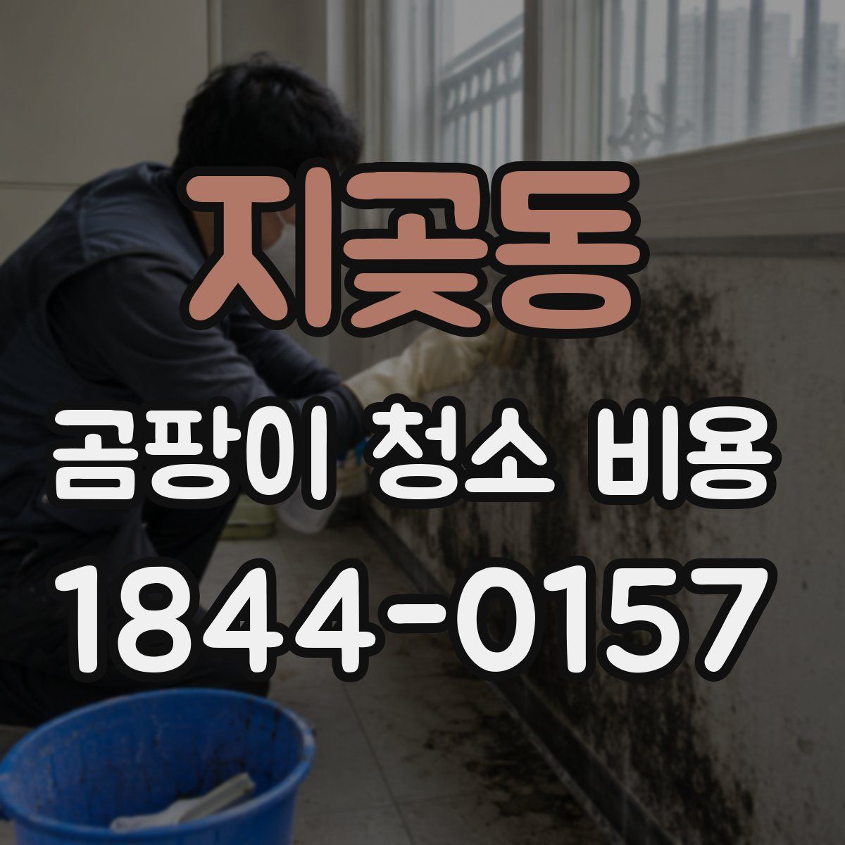 지곶동 곰팡이 청소 비용