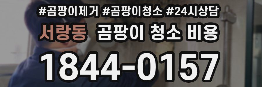 서랑동 곰팡이 청소 비용