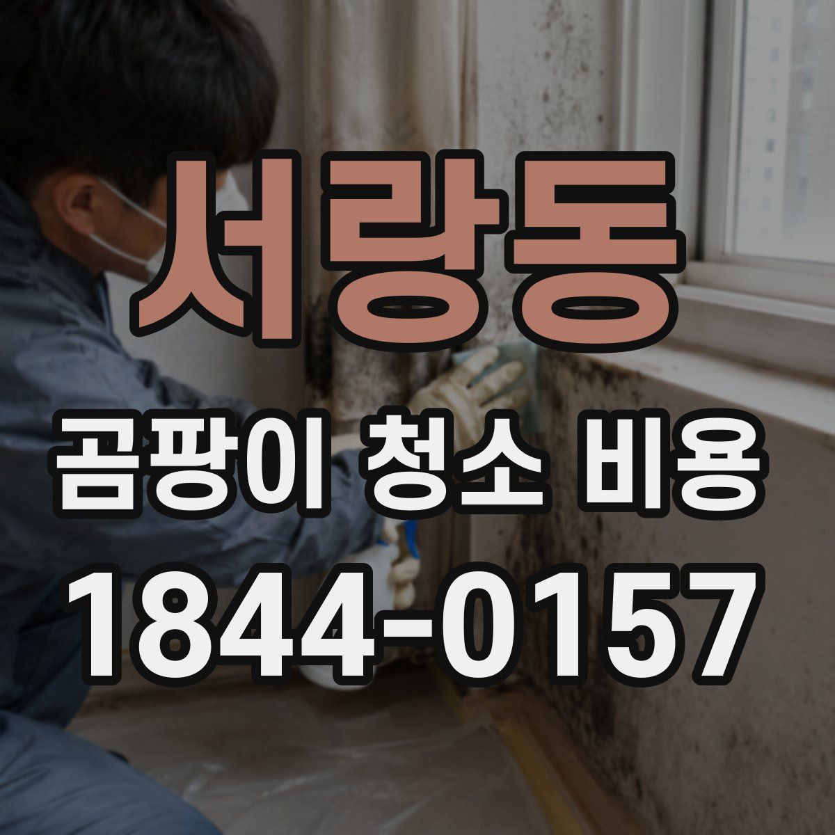 서랑동 곰팡이 청소 비용