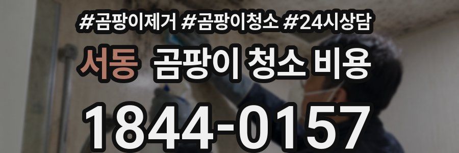 서동 곰팡이 청소 비용