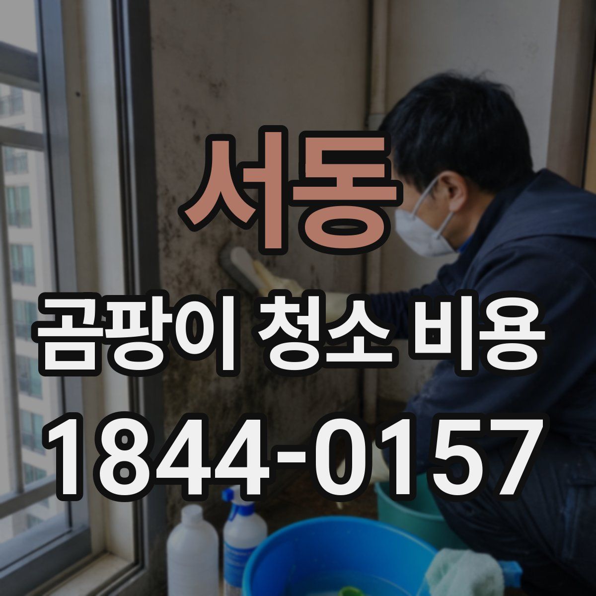 서동 곰팡이 청소 비용