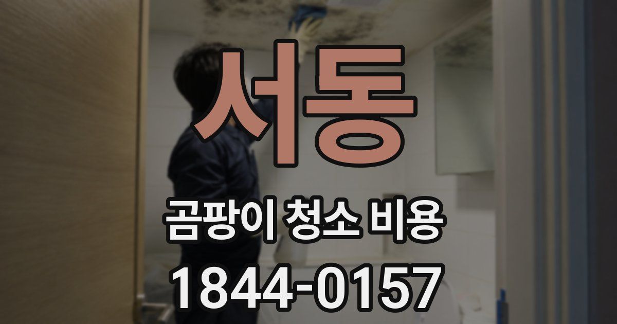 서동 곰팡이 청소 비용