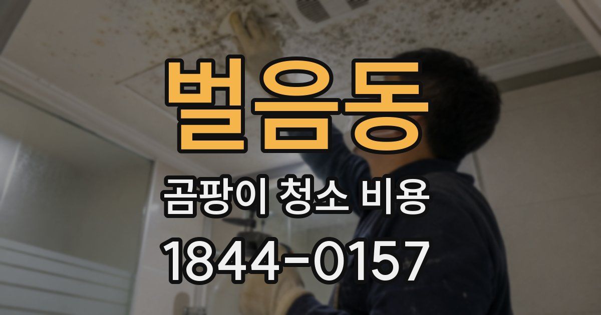 벌음동 곰팡이 청소 비용