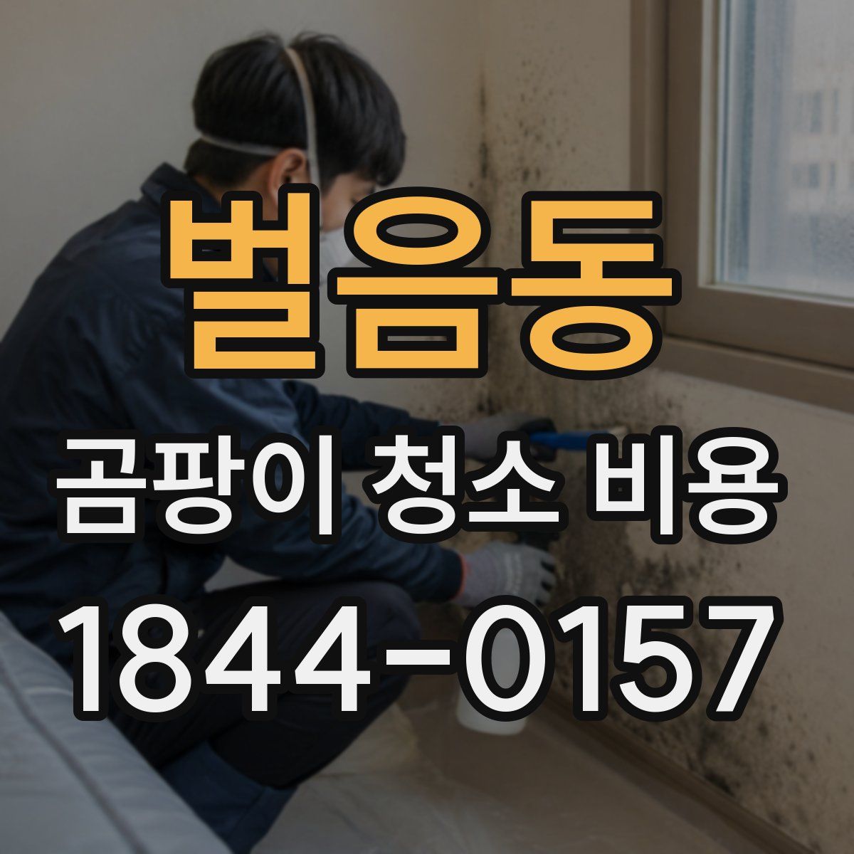 벌음동 곰팡이 청소 비용