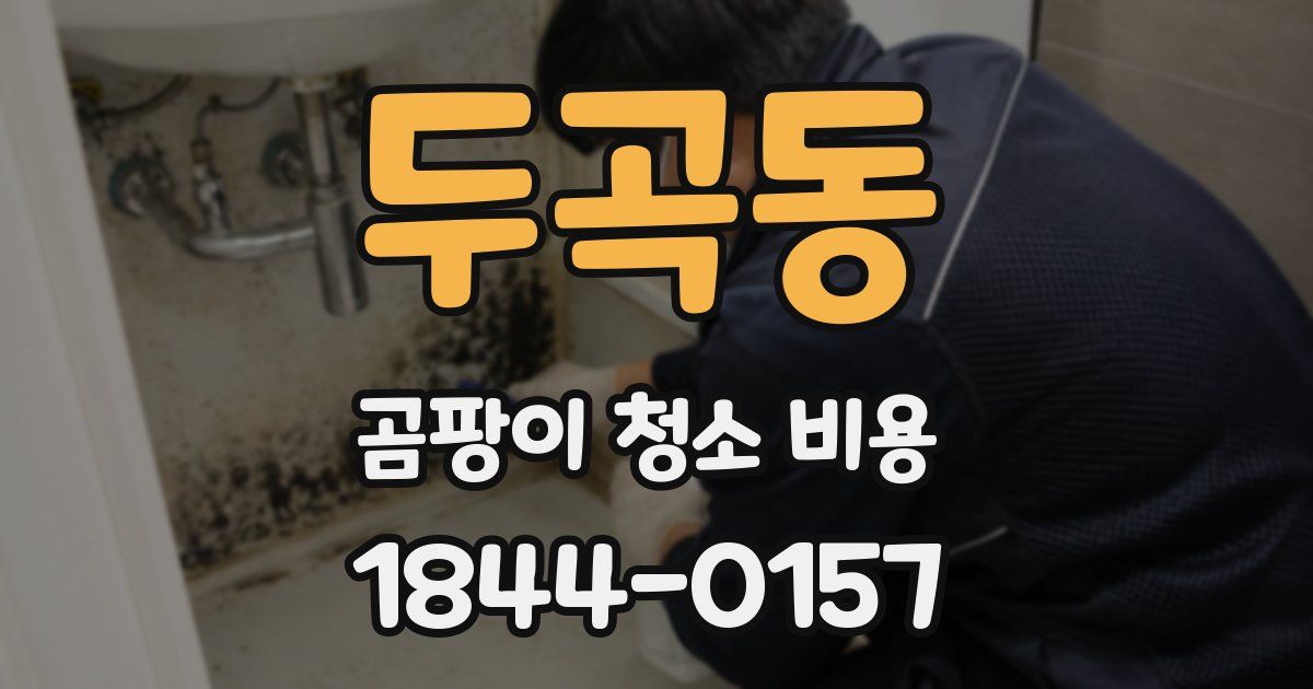 두곡동 곰팡이 청소 비용