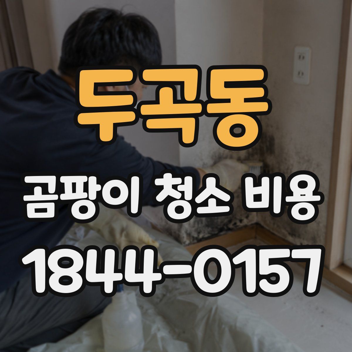 두곡동 곰팡이 청소 비용