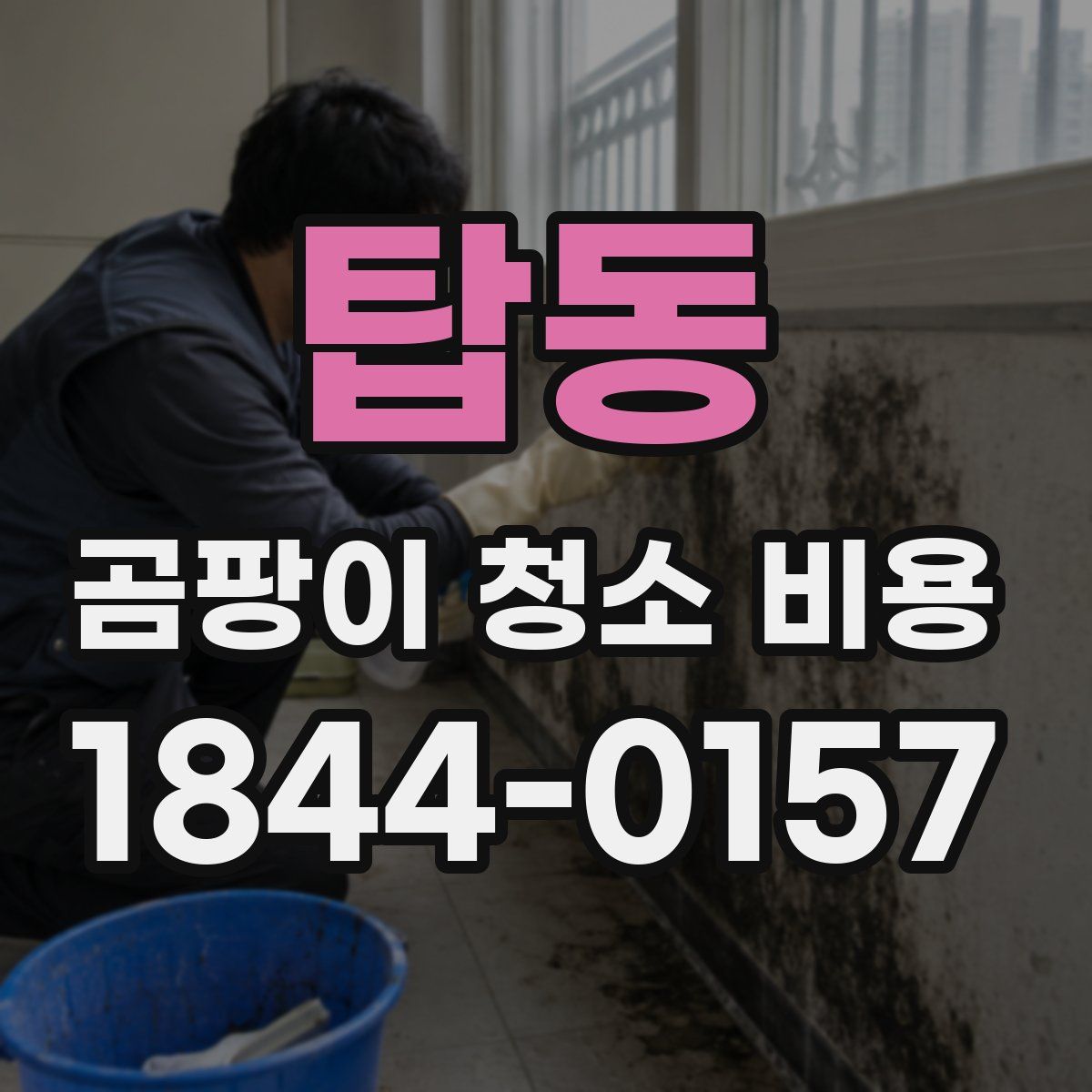 탑동 곰팡이 청소 비용