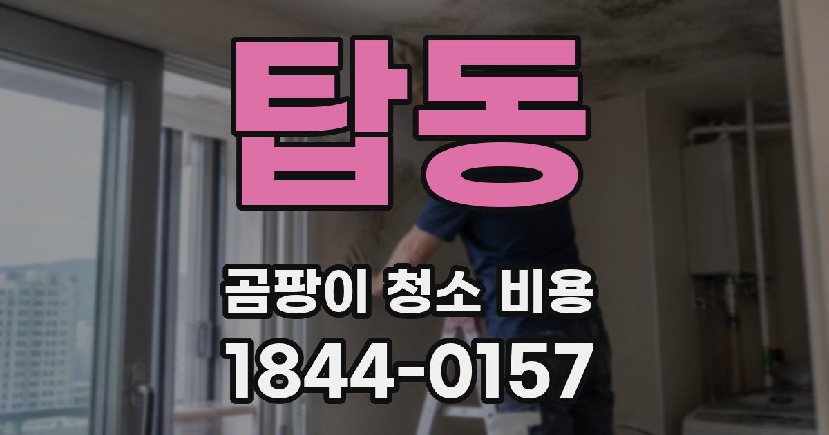 탑동 곰팡이 청소 비용
