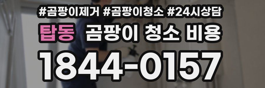 탑동 곰팡이 청소 비용