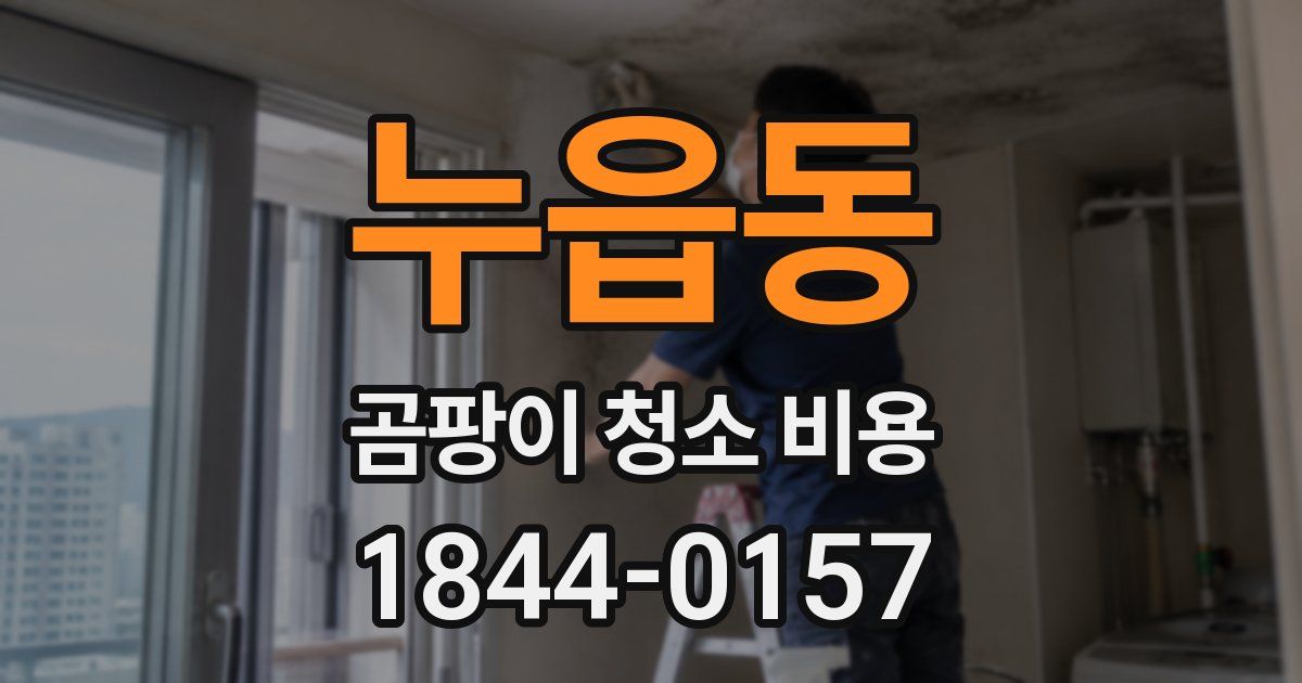 누읍동 곰팡이 청소 비용