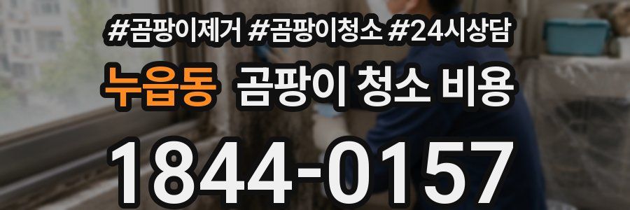 누읍동 곰팡이 청소 비용