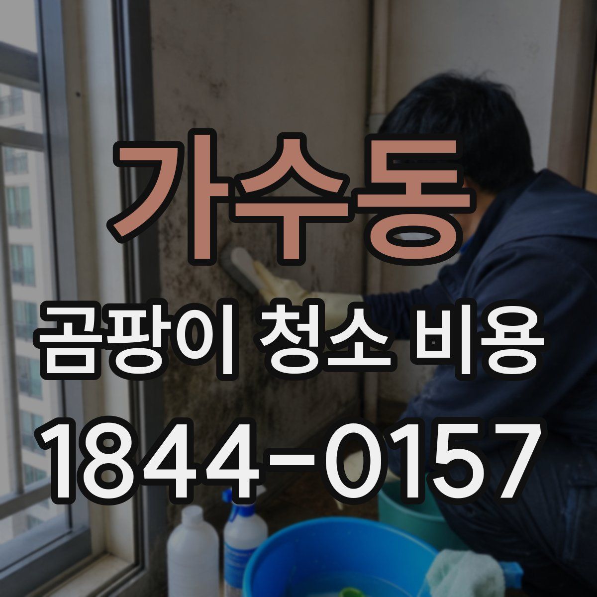 가수동 곰팡이 청소 비용