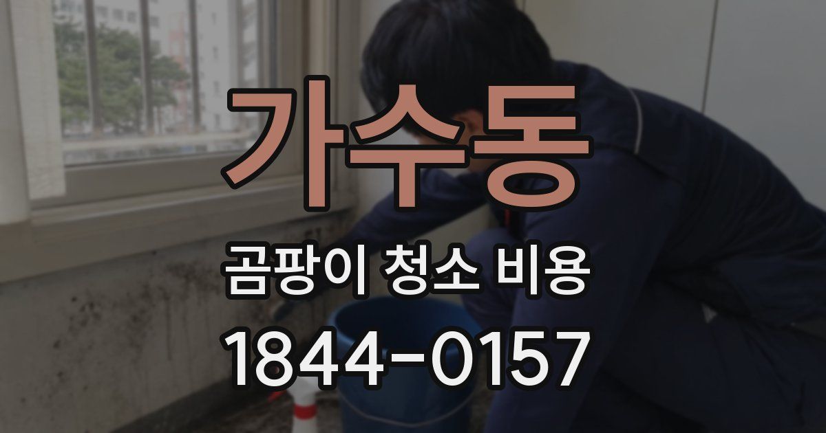 가수동 곰팡이 청소 비용