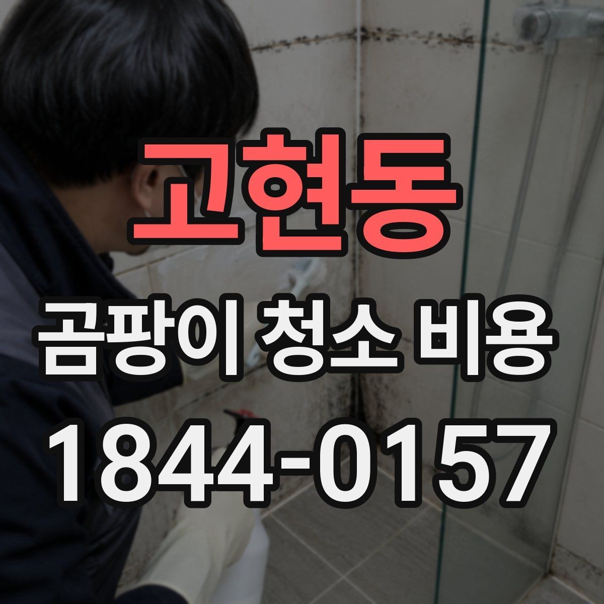 고현동 곰팡이 청소 비용 벽면 세척만으로 부족한 상황은 언제일까